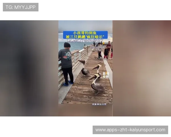 鹈鹕继续疯狂输出